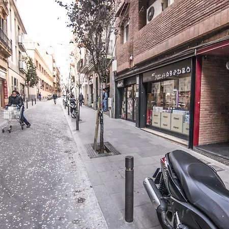 R4d Fantastic In Gracia-verdi